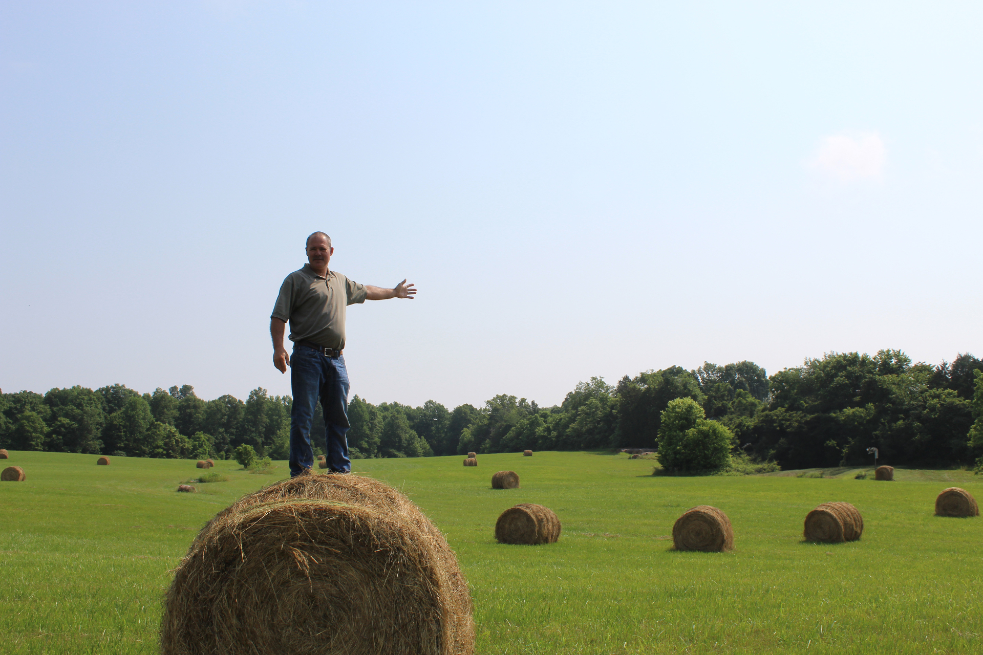Kentucky farmland